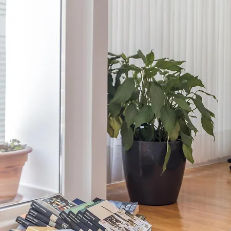 Theatrum Cozy * Σπλιτ